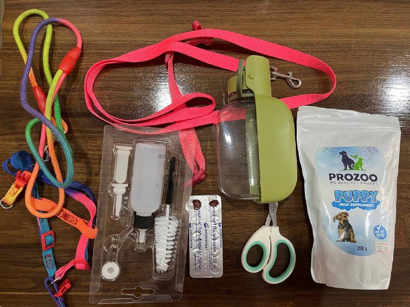 Когтерезка, ошейник с поводком, шлейка, дождевик для собак
