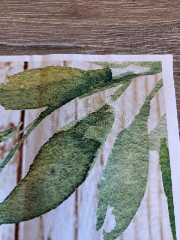 Акриловые краски, пилатес стик, вешалки, бокалы, контейнер, фотофон 9