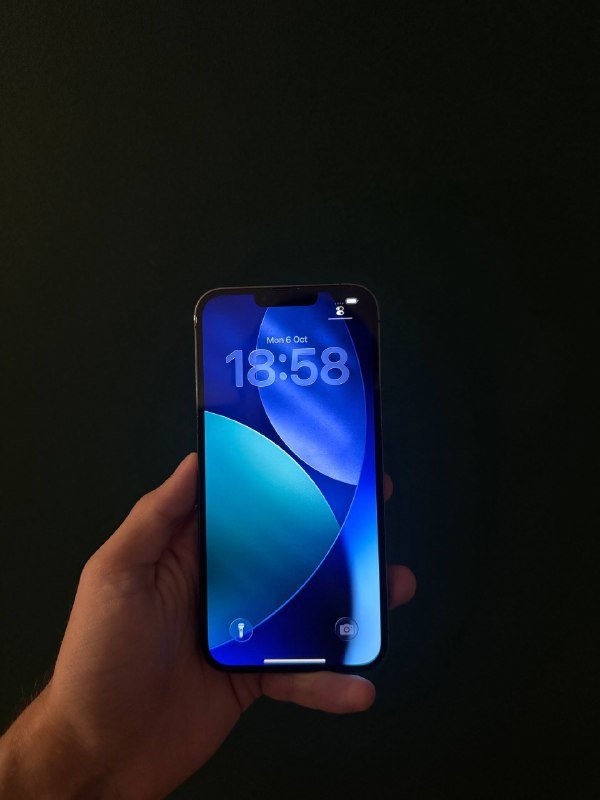 iPhone 13 Pro Max 256Gb 2