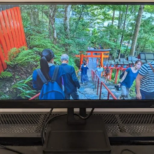 Lenovo ThinkVision E29w-20 монитор