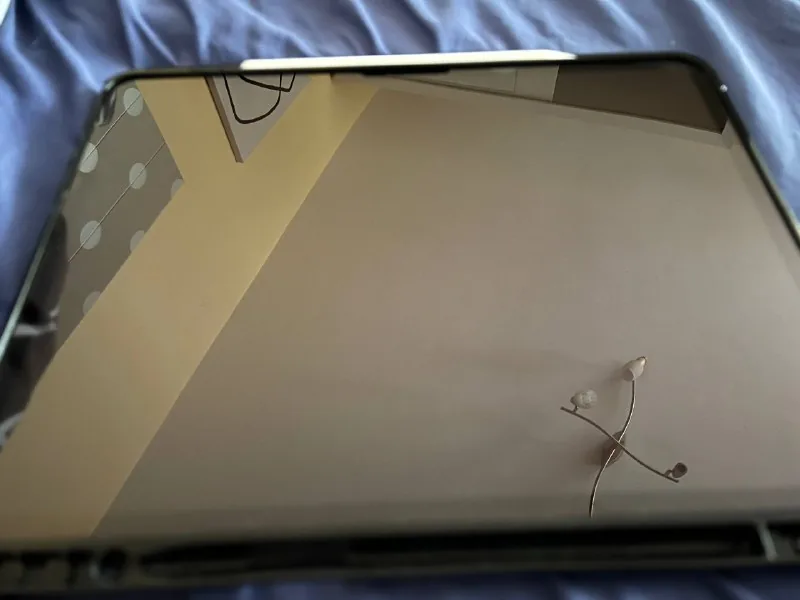 iPad Pro 13 дюймов 1 ТБ Wi-Fi Cellular Apple Pencil Pro 1