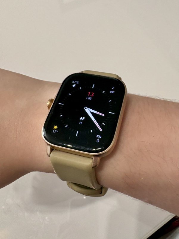 Amazfit GTS 3 Terra Rosa smartwatch