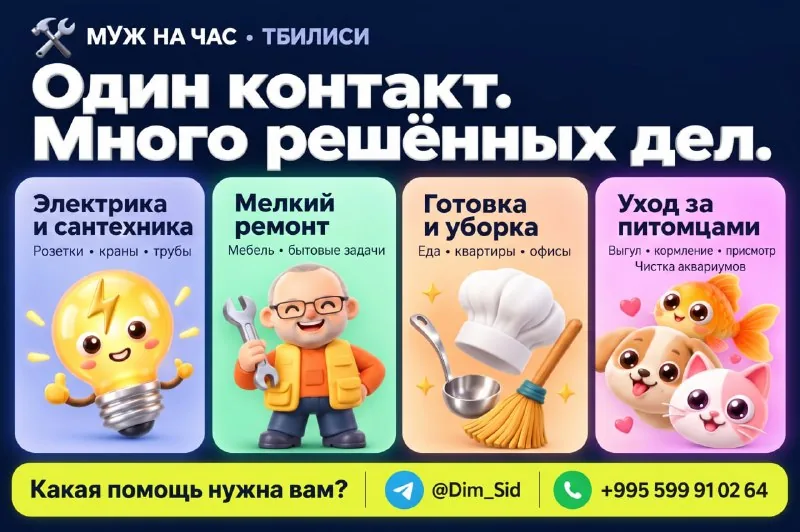 Бытовые услуги, клининг, петситтинг в Тбилиси