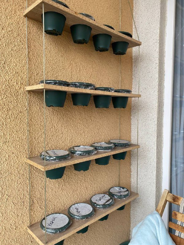 Цветочные горшки зеленого цвета, 16 штук