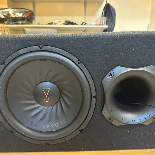 Сабвуфер BassPro 12