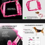 Dog harness, size M 2