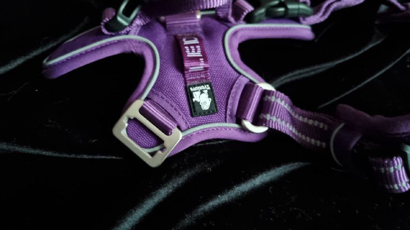 Набор амуниции для кошек и собак шлейки, расческа, кусачки 2