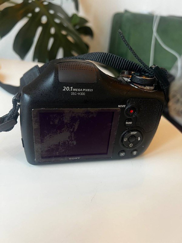 Фотоаппарат Sony Cyber-Shot DSC-H300 2