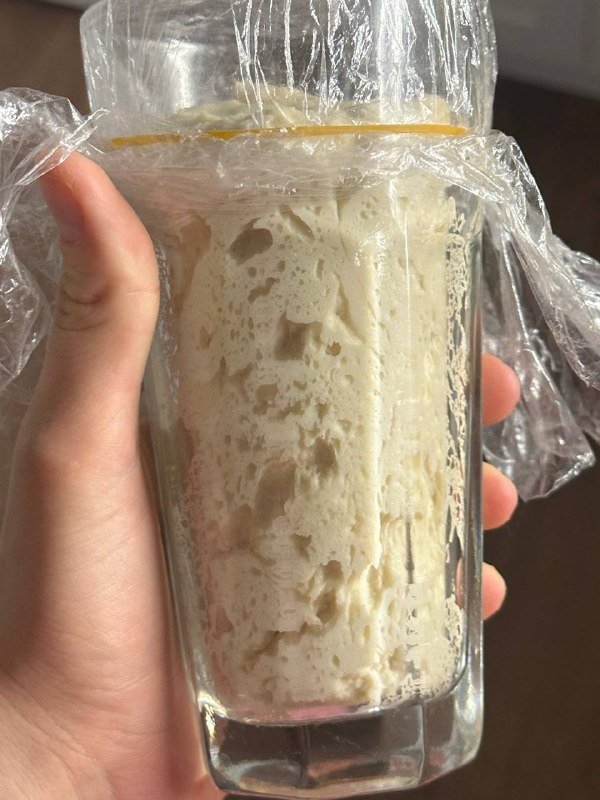 Закваска Levito Madre 100 гр 2