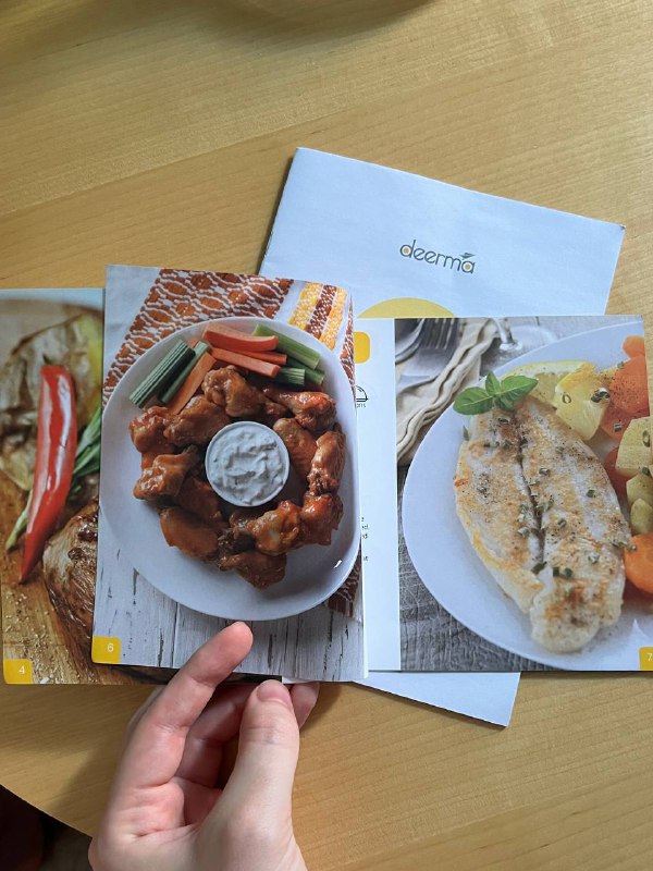 Аэрогриль Deerma electric oven (аэрофритюр) в комплекте с рецептами 4