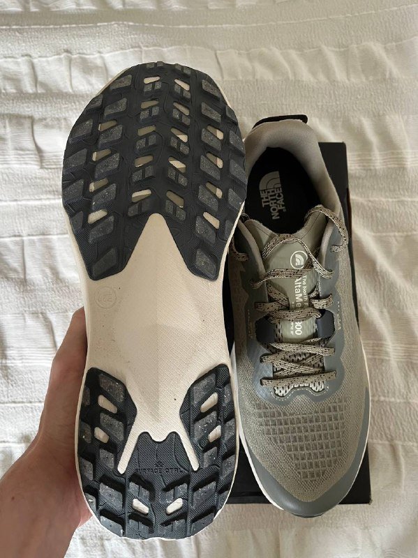 Трейл раннинг кроссовки The North Face Altamesa 300 3