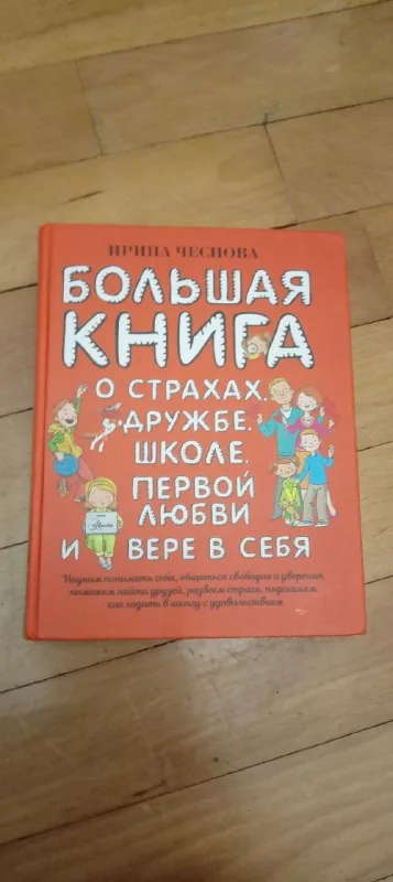 Большая книга о страхах, дружбе, школе и первой любви