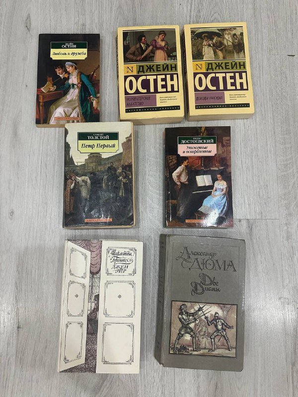 Книги: Петр первый, Джейн Эйр, Две Дианы, Униженные и оскорбленные, Любовь и дружба