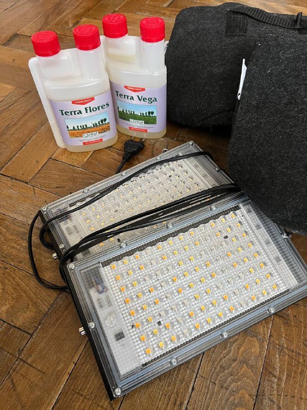 Лампы 100Вт, большие матерчатые горшки, удобрения Vega Terra Flowers 2