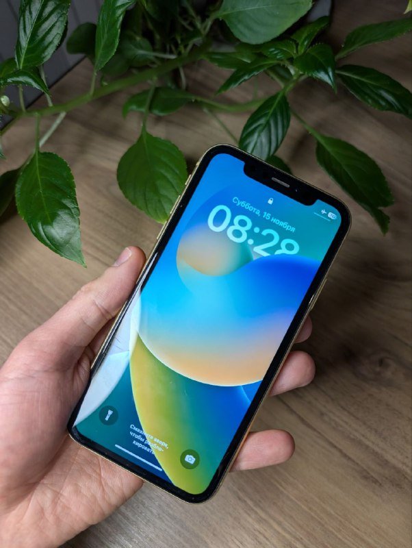 IPhone XR 128 ГБ жёлтого цвета