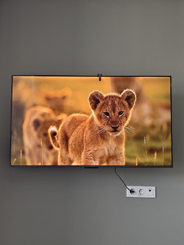 Tcl 55p8k телевизор 55 дюймов