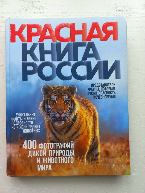 Дети моря, Дети леса, Три желания Мэйв, Красная книга России, Том Сойер 4