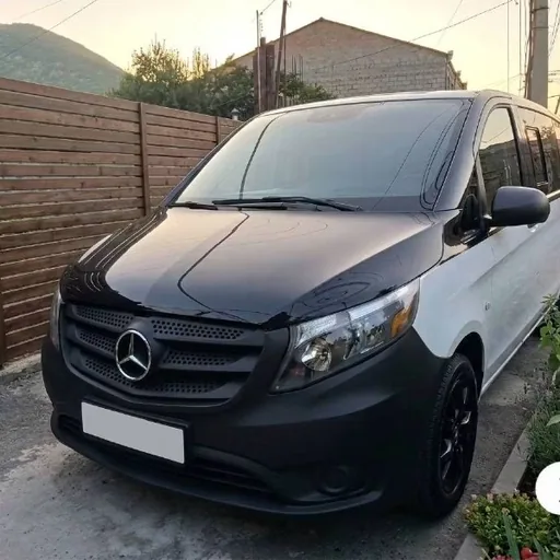 Mercedes Metris