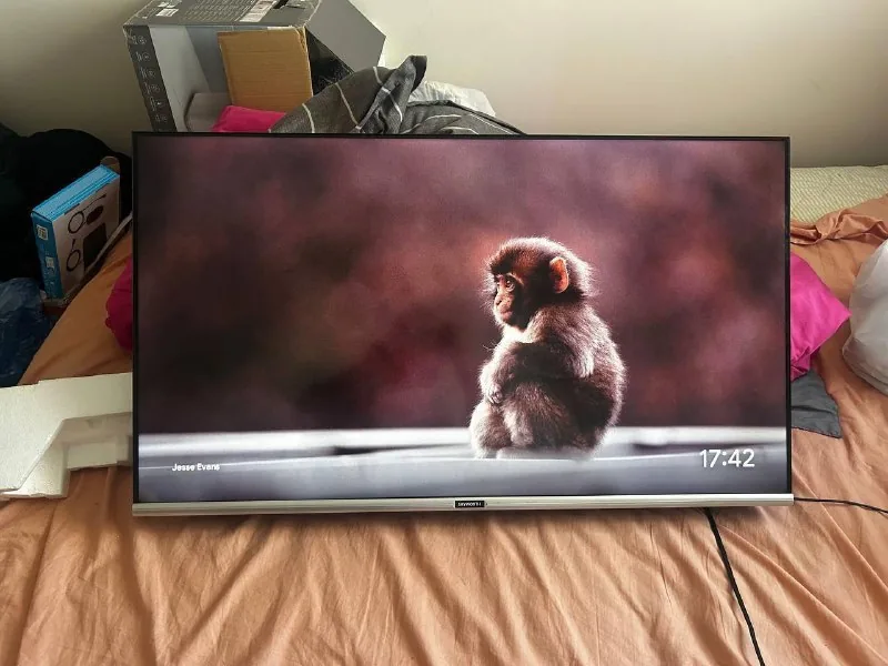 ТВ Skyworth 40"