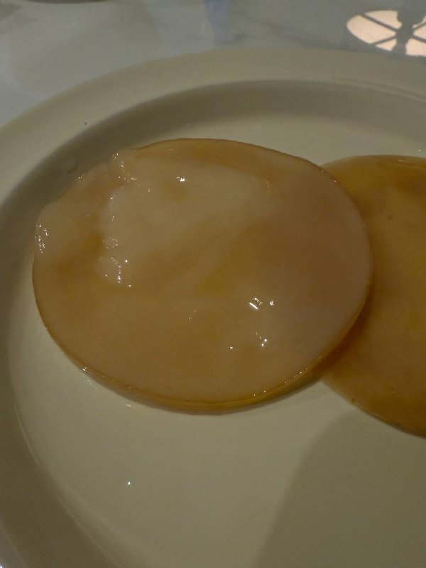 Чайный гриб для комбучи, 2 штуки 2