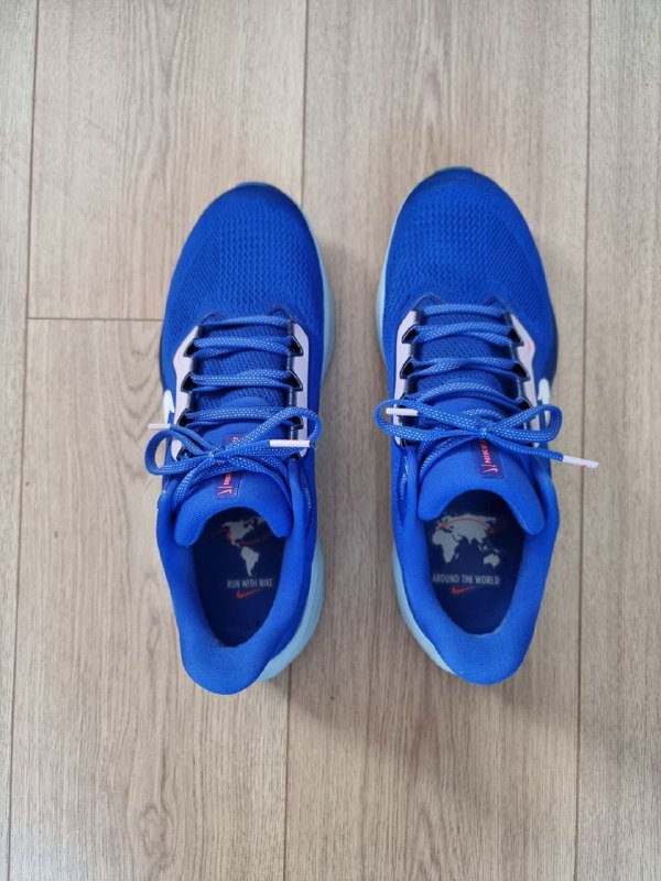 Беговые кроссовки Nike Pegasus 41 мужские US 10.5 EU 44.5 3