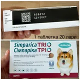 Кнопки для собак, Симпарика Trio 2