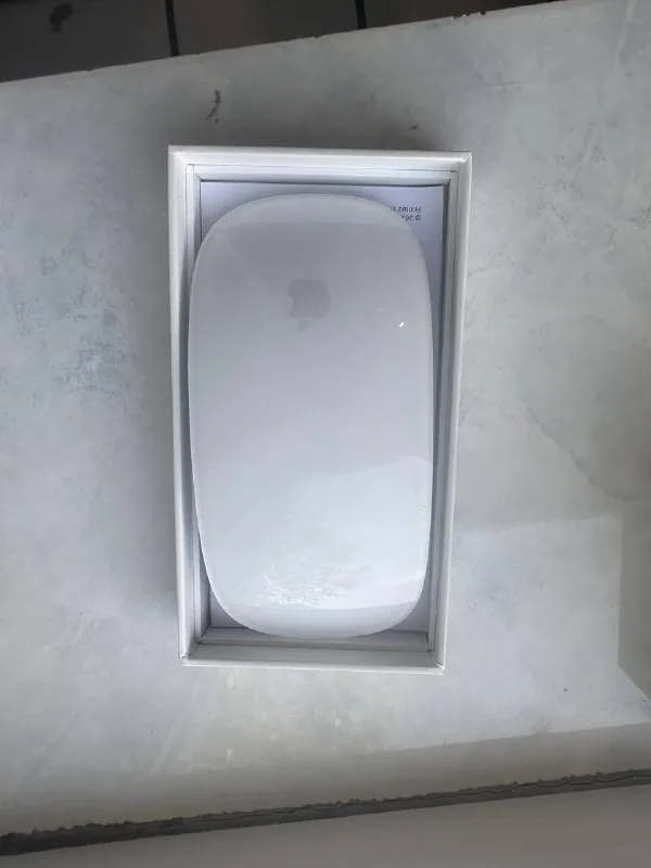 Apple Magic Mouse 1