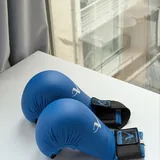 Накладки для каратэ Arawaza WKF Approved XL 1