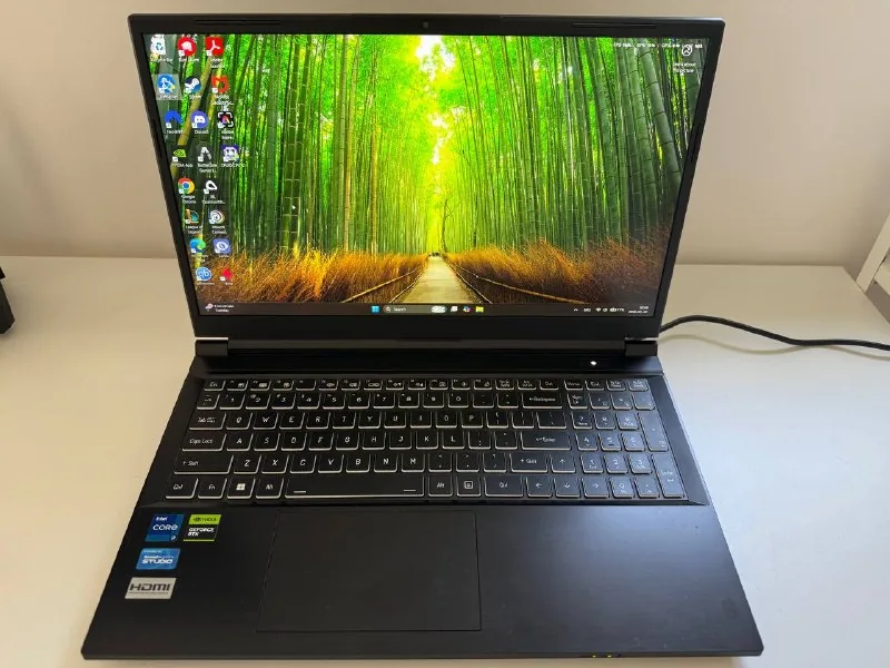 Игровой ноутбук Aftershock, Intel i7-13700H, RTX 4060 1