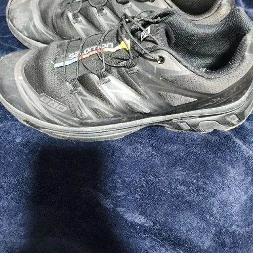 Salomon sneakers