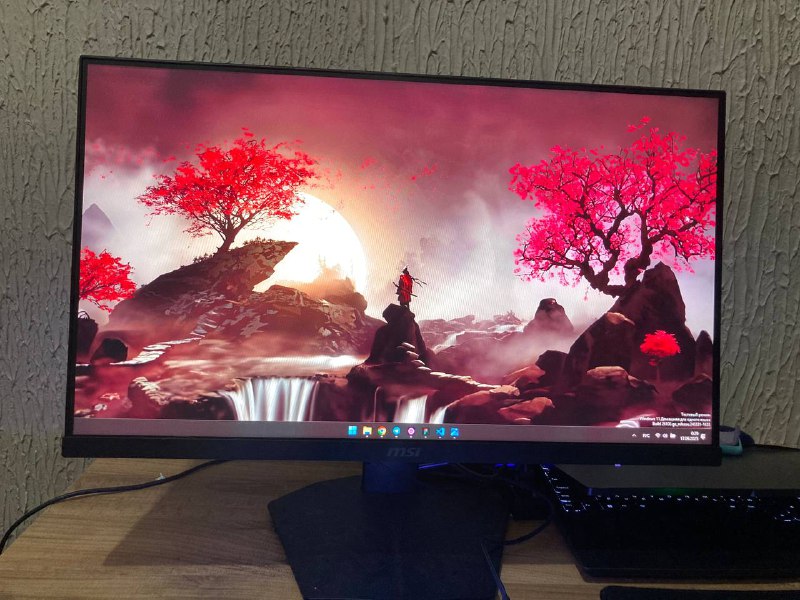 Монитор MSI G244F E2 23.8 дюймов 180 Гц