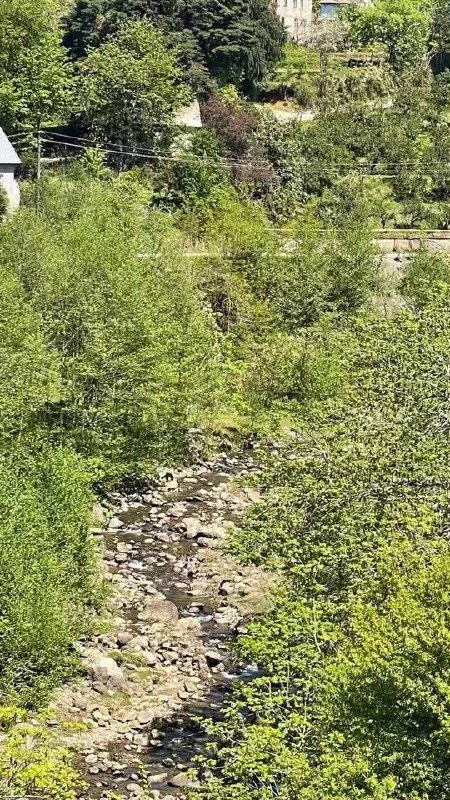 Участок 3000 м² с домом и садом в Ахалшени 6