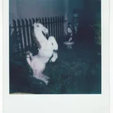 Polaroid Now instant camera 4