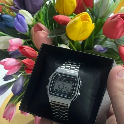 CASIO