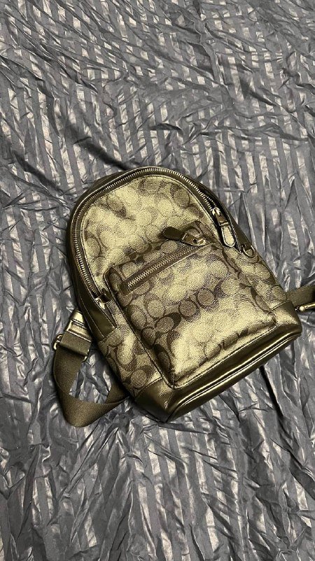 Кроссовки мужские, Сумка Coach, Футболка беговая BIONIC 5