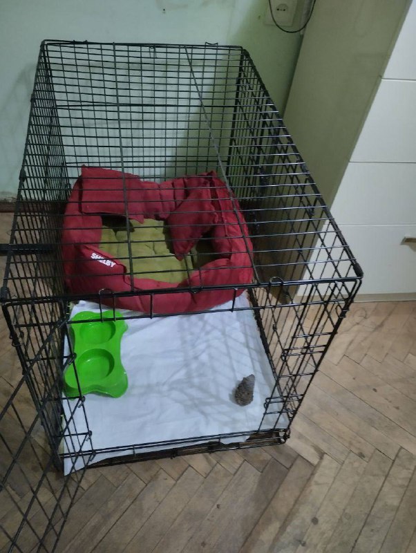 Клетка для собаки 2