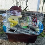 Клетка для хомяка 1