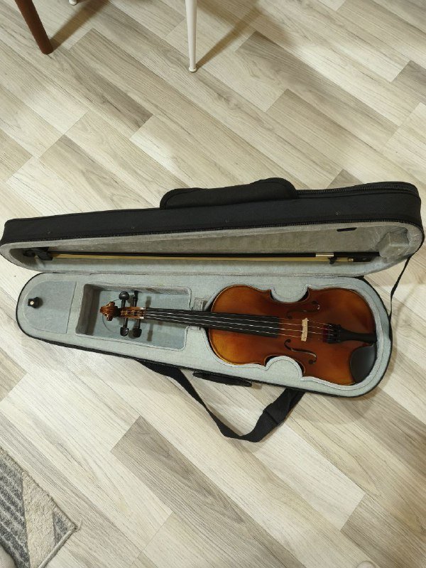 Скрипка Roth & Junius RJV-S Student Violin Set 4/4 с футляром 2