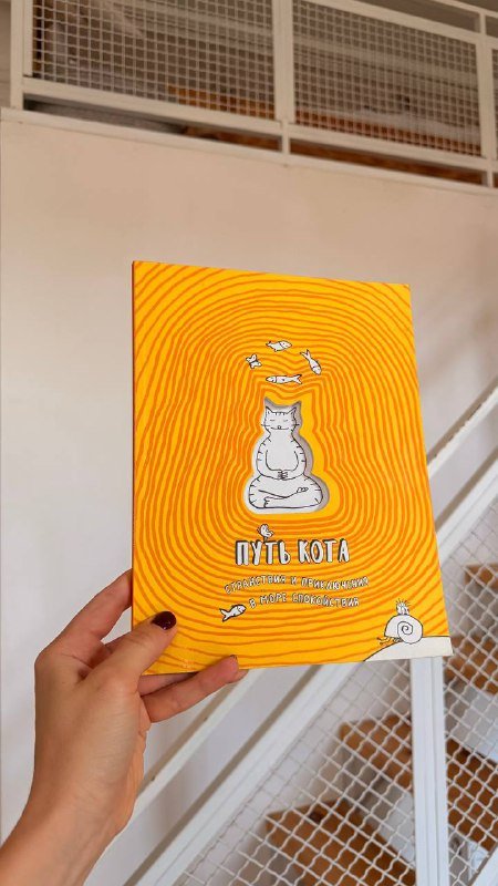 Раскраска для взрослых Путь Кота