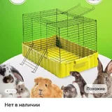 Cage for rats, guinea pigs and rabbits 2