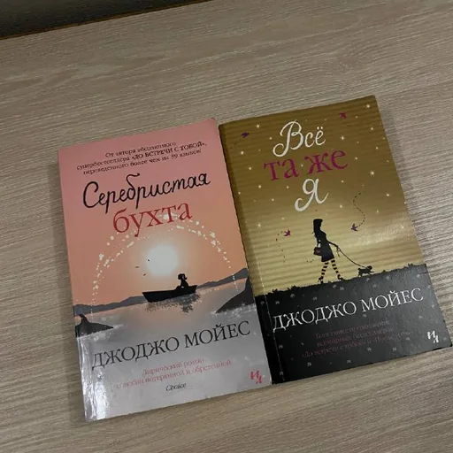 Книги Джоджо Мойес, Серебристая бухта, Всё та же я
