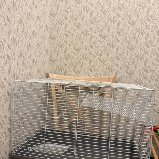 Клетка