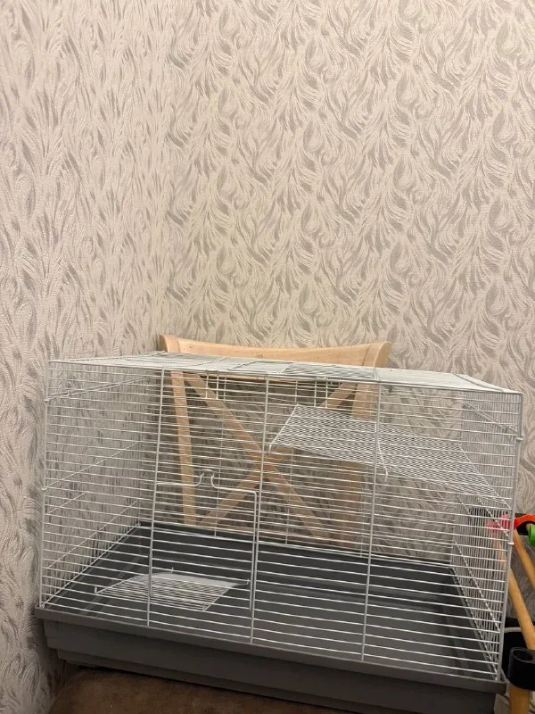 Клетка