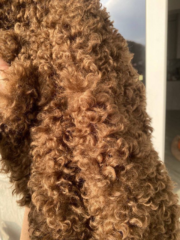 Шуба оверсайз из искусственного меха 2XL 3