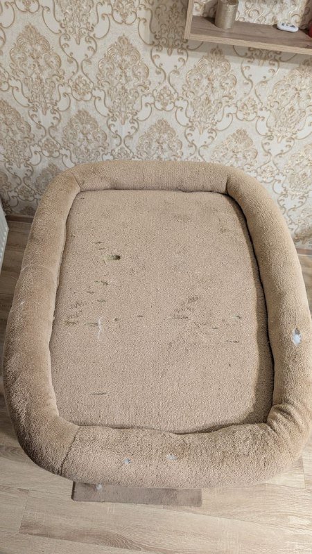 Когтеточка для кошек 3