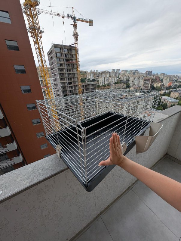 Клетка для кошки 2