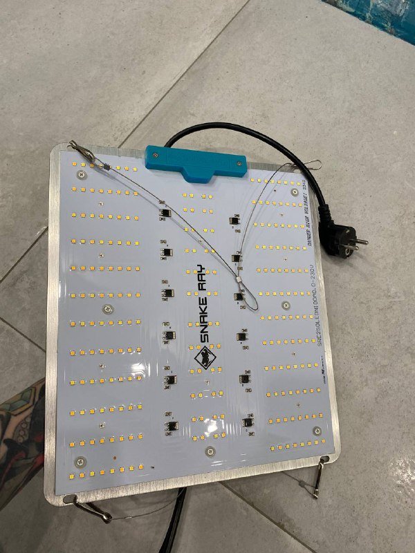 Монстера, Драцена, Авокадо, весы Xiaomi, лампа для растений, игрушки, коврик для йоги, валик, резинка 5