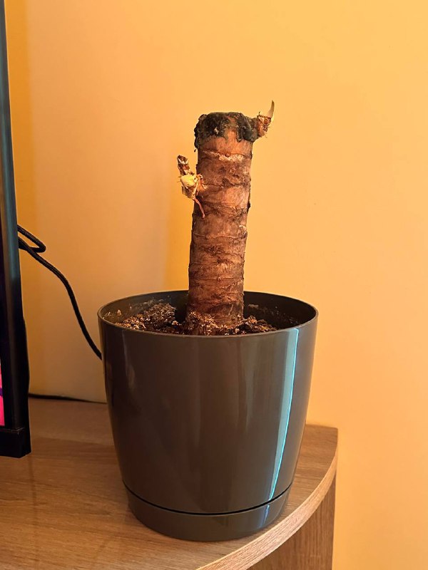 Деревянный стол 3