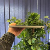 MacBook Air M2 Space Gray 6