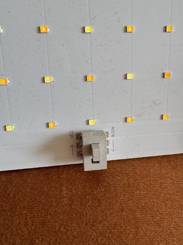 Лампа для выращивания цветов, добавки и оборудование 9